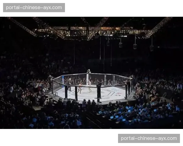 弗朗西斯·纳甘诺与PFL正式解约，仅出战一场MMA比赛