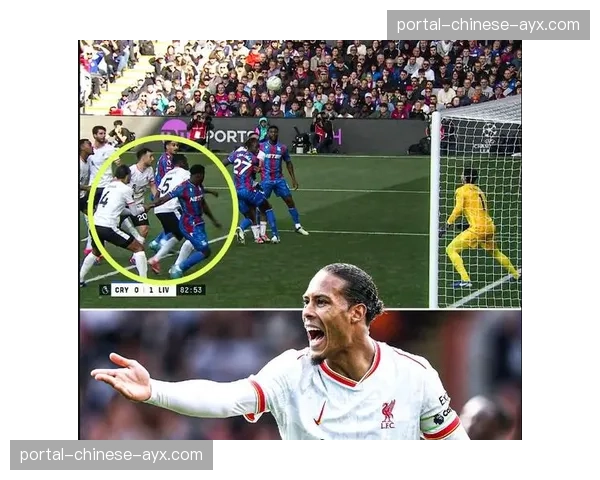 场边花絮：大雨中，水晶宫小球迷为格伊的每一次解围欢呼